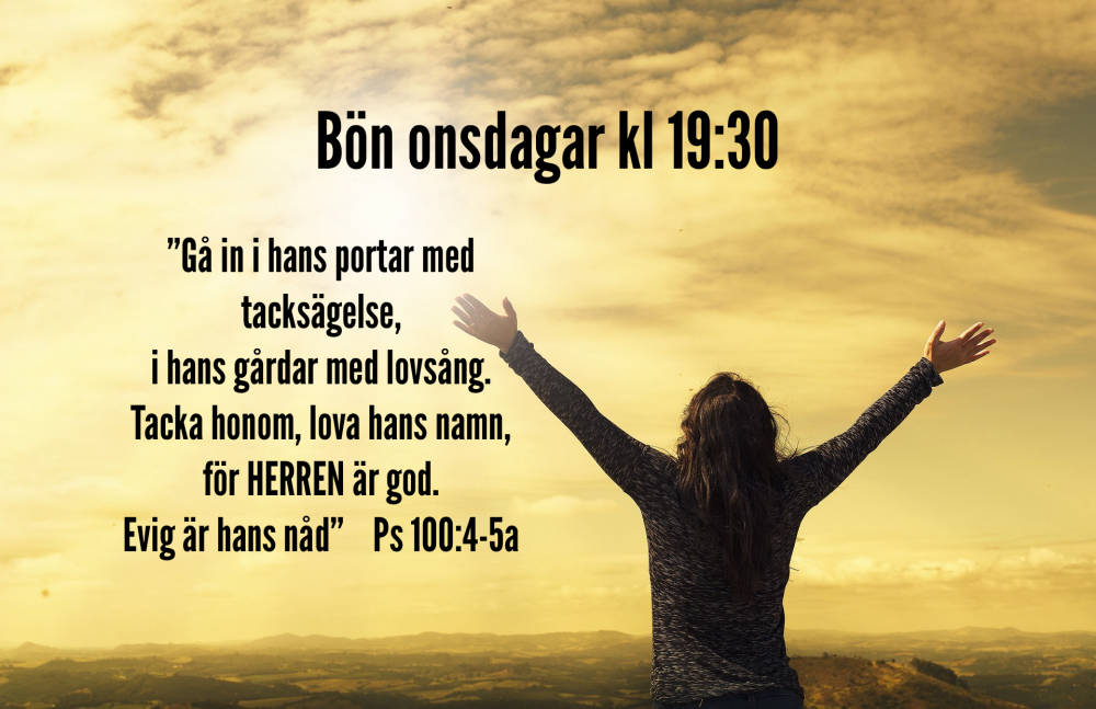 IMG_3227.png